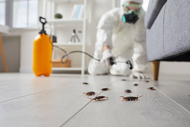 Commercial Kitchen Cockroach Control in Rush Springs